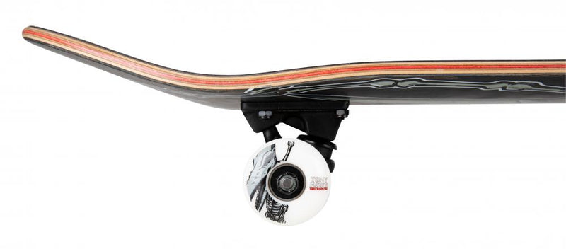 Birdhouse Skateboards Hawk Pterodactyl Complete Skateboard 7.5", Black